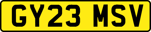 GY23MSV