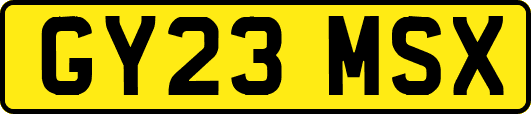 GY23MSX