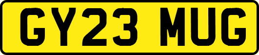 GY23MUG