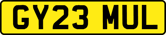 GY23MUL