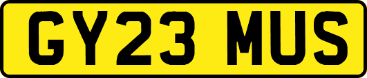 GY23MUS