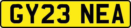 GY23NEA