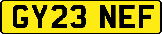 GY23NEF