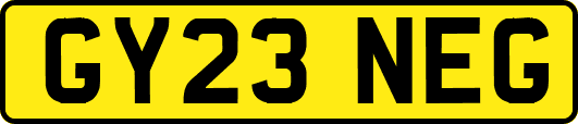 GY23NEG