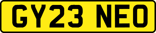 GY23NEO