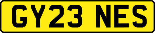 GY23NES