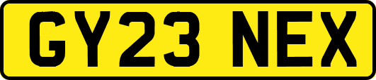 GY23NEX