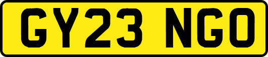 GY23NGO