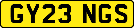 GY23NGS
