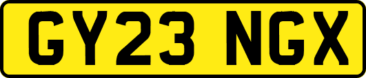 GY23NGX