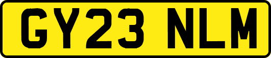 GY23NLM