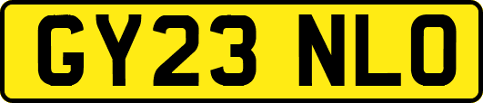 GY23NLO