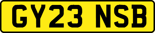 GY23NSB