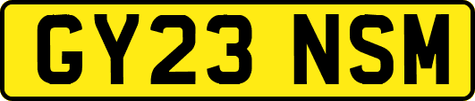 GY23NSM