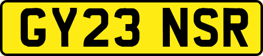 GY23NSR