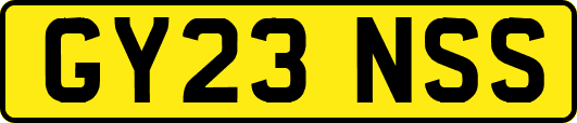 GY23NSS