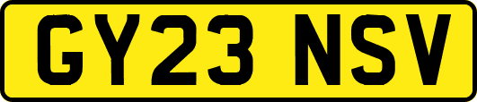 GY23NSV
