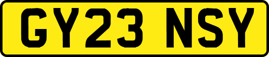 GY23NSY