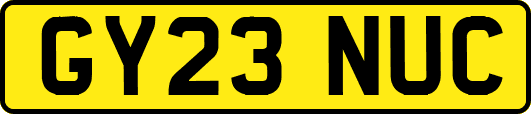 GY23NUC