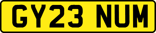 GY23NUM