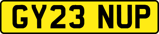 GY23NUP