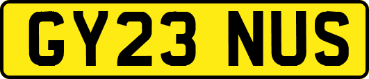 GY23NUS
