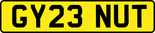 GY23NUT