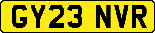 GY23NVR