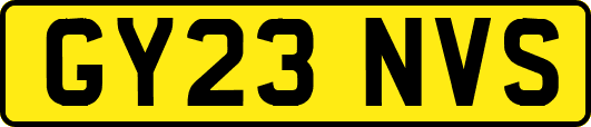 GY23NVS