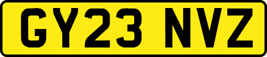 GY23NVZ
