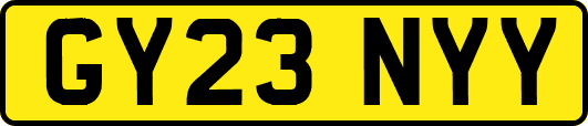 GY23NYY