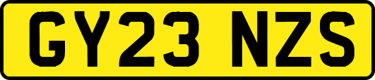 GY23NZS