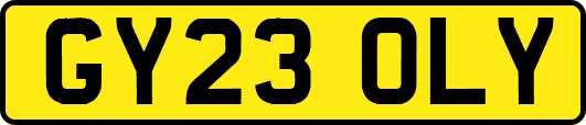 GY23OLY
