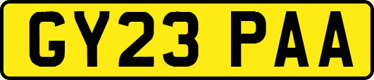 GY23PAA