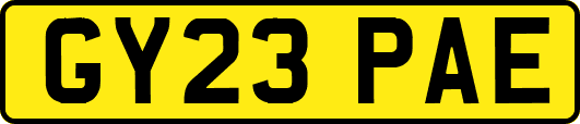 GY23PAE