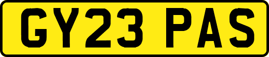 GY23PAS