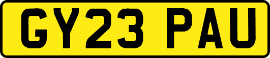 GY23PAU
