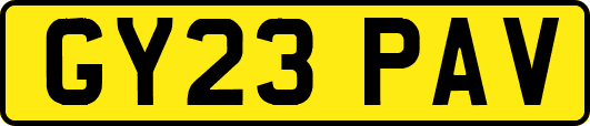 GY23PAV