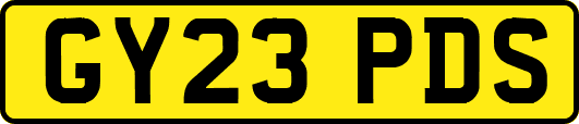 GY23PDS