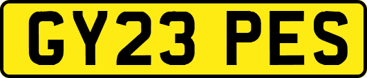 GY23PES