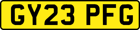 GY23PFG