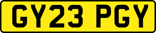 GY23PGY