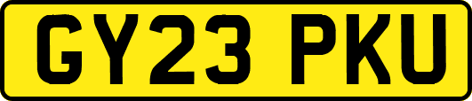 GY23PKU