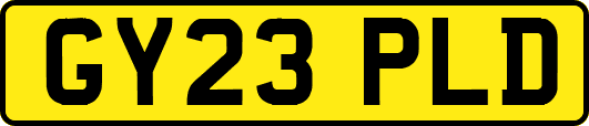 GY23PLD