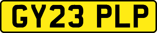 GY23PLP