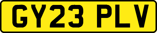 GY23PLV