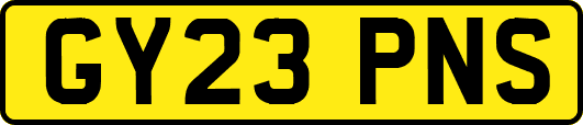 GY23PNS