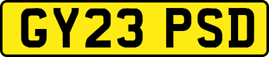 GY23PSD