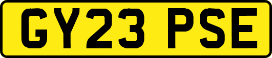 GY23PSE