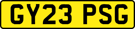 GY23PSG